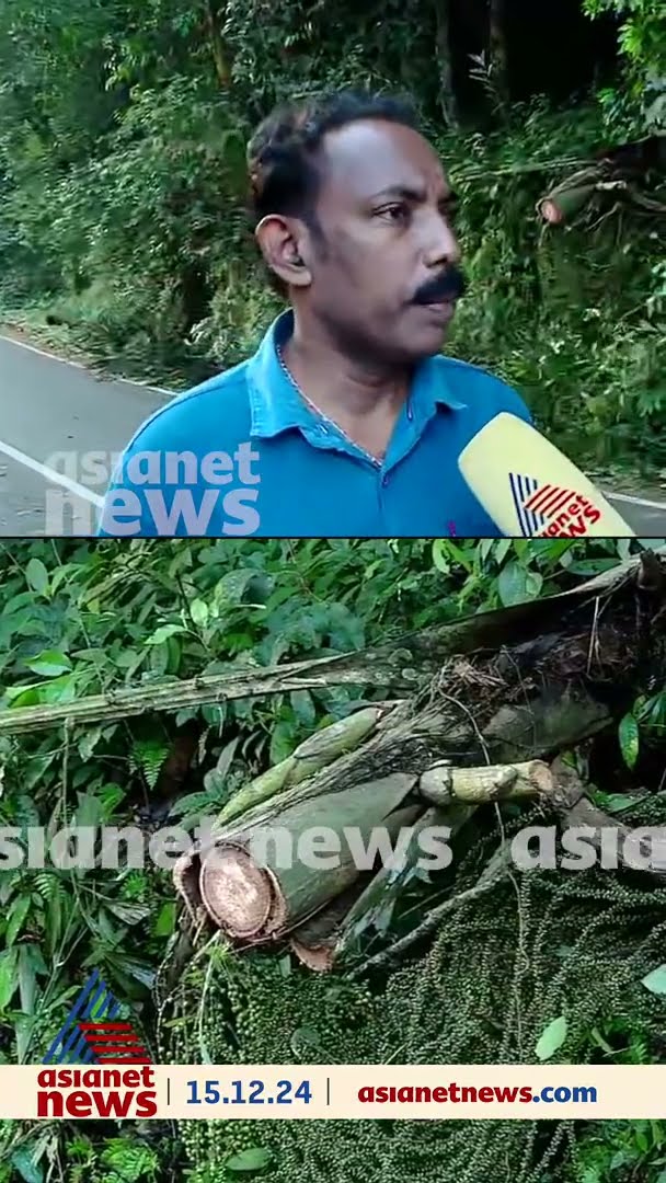 'പന കണ്ടാ ആന മറിച്ചിടും, പക്ഷേ, ഇന്നലെ മറിച്ചിട്ടപ്പോ വീണത് അവരുടെ വണ്ടിയിലേക്കായി'