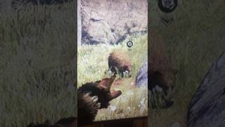 How to tame a animal on farcry primal