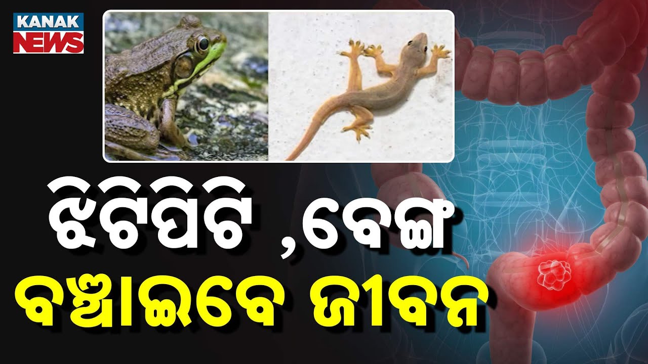 Can Frogs Cure Cancer? Japan Scientists Discover Breakthrough!