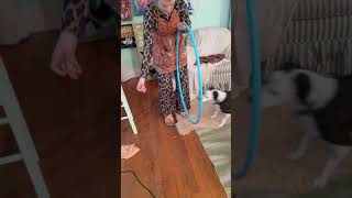 VID 20190210 021115 2
