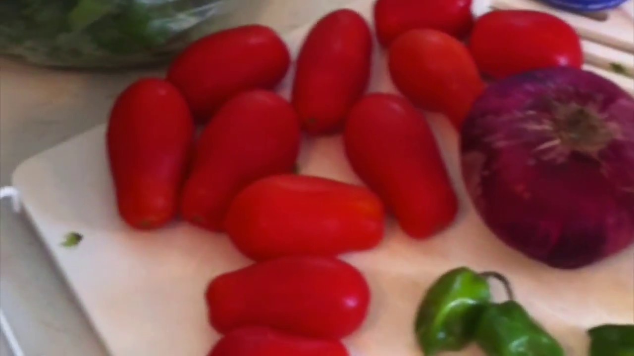 arts of problem solving How to Make Salsa - Brew and Feed 2010 Legacy Video