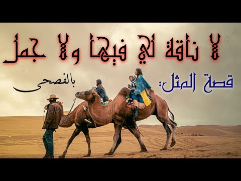 قصة المثل لا ناقة لي فيها ولا جمل بالفصحى