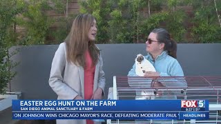Easter Egg Hunt on the Farm