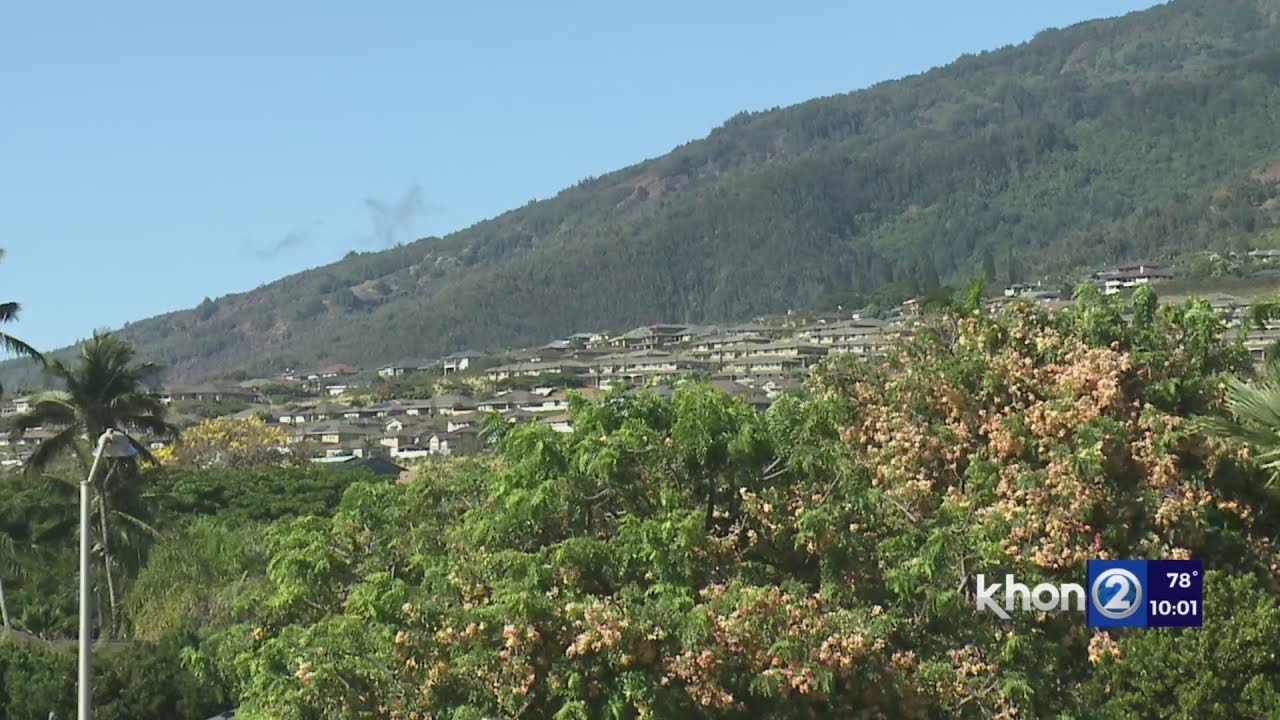 NIMBY worsening Hawaii's housing crisis YouTube