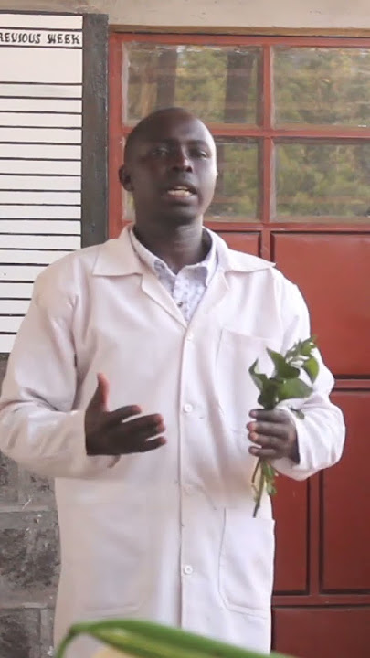 proper management of your dairy cows to give you signs of wanting bulls in 15 months