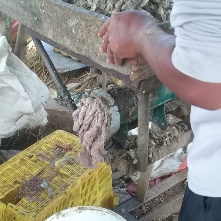 Alat Penggiling Limbah Ikan Untuk Pakan Tambahan Ternak Itik