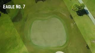 Okeeheelee Green Renovation Project - Eagle No. 7