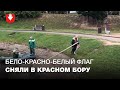 Коммунальщики на лодке сняли бело-красно-белый флаг в Красном бору