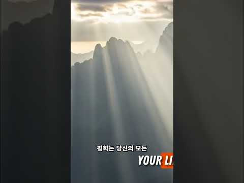 진정한 평화: 세상의 혼돈 속에서 찾는 깊은 고요 #shorts