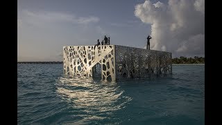 絵画 オーストラリア グレートバリアリーフ 中古品 絵画