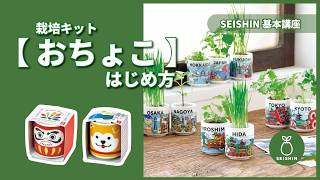 お芽でたおちょこ JAPAN - 聖新陶芸株式会社｜栽培キットの企画・製造