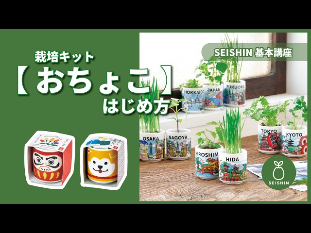 お芽でたおちょこ 基本扱い方 - YouTube