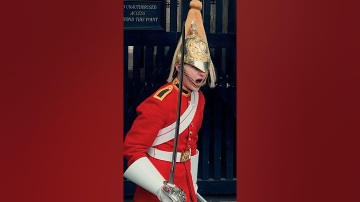 ROYAL GUARD HAS HAD ENOUGH! POLICE STEPS IN! | Horse Guards, Royal guard, Kings Guard, Horse, London