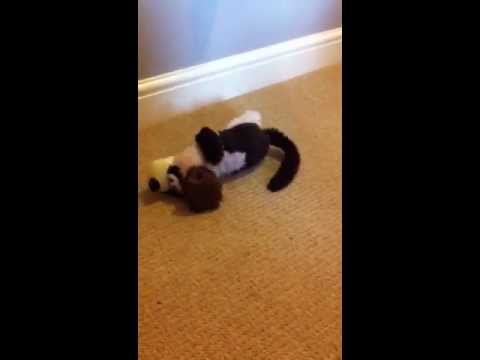 Cracker Barrel Laughing Dog Toy Youtube