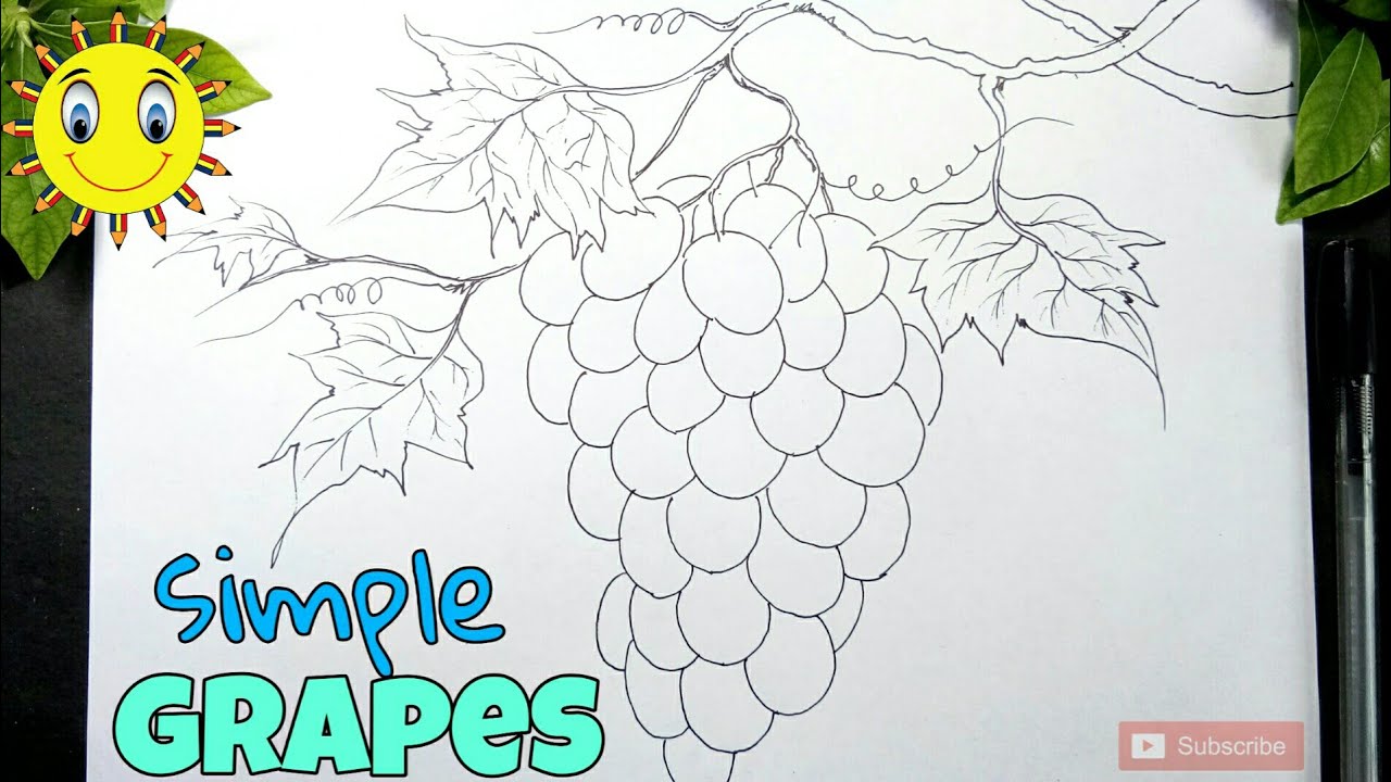 easy and simple grapes drawing, how to draw grapes fruit - YouTube