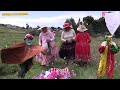 recibiendo la papa nueva (jathakato) costrumbres tradicionales  -cocina con mamila