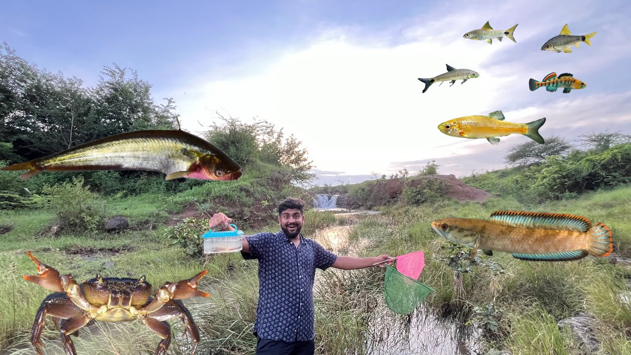 Baby Carb Mila Or Bahot Sare Fish Catch Kiye 🐠🎣