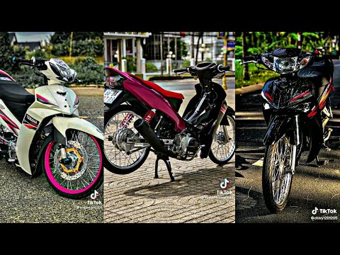 Video #Tiktok Sirius Dọn Kiểng /#Tổng Hợp Siruis Dọn Kiểng [... - youtube