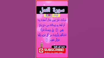 وتفقد الطير.. ايآت مؤثرة من سورة النمل 🌺 #قران_كريم #quran #المصحف #اكسبلور @kichk1933#duet
