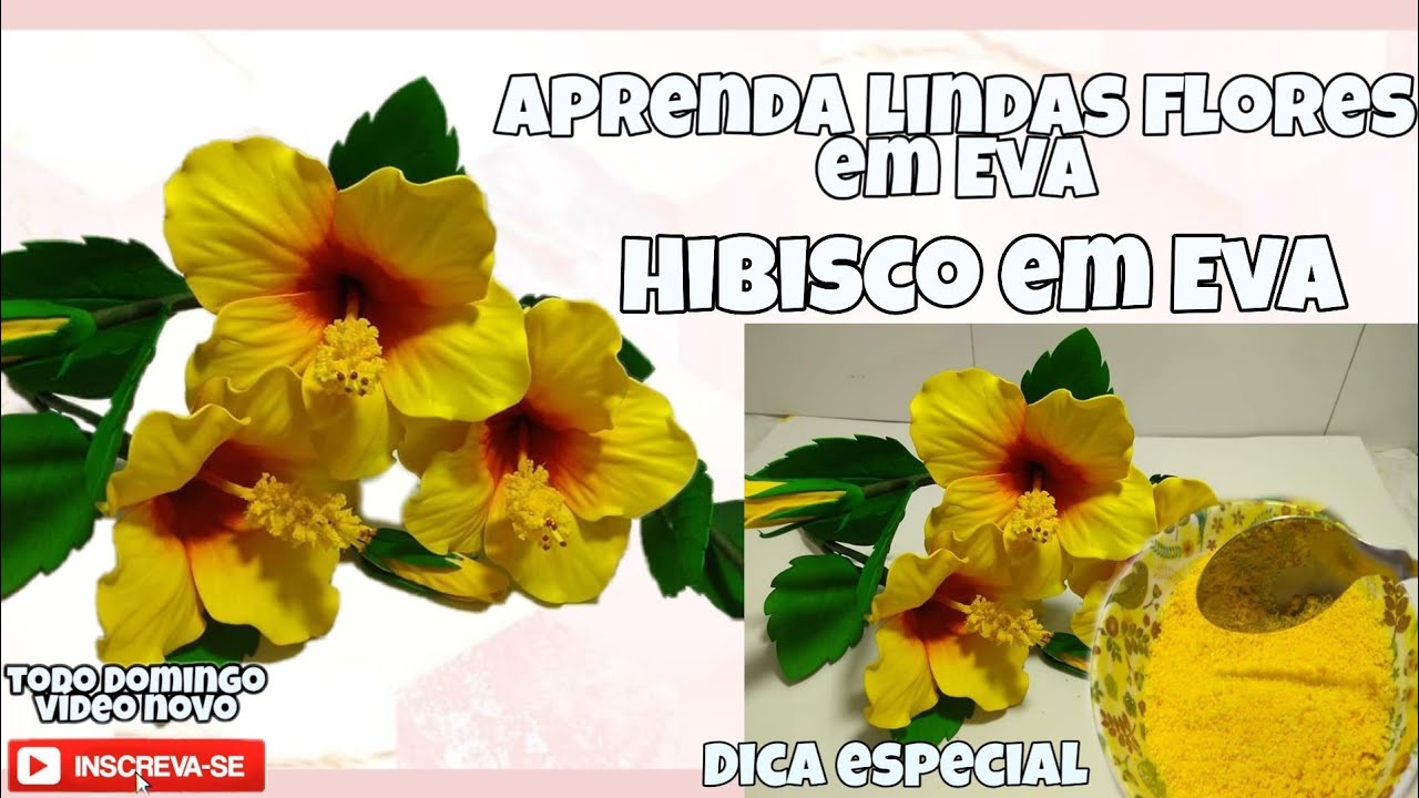 Passo a Passo De Hibisco em Eva