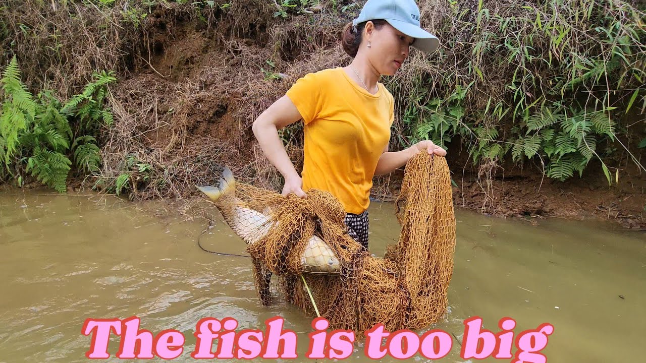 Looking for a bottle, I didn't expect to catch a big fish - YouTube