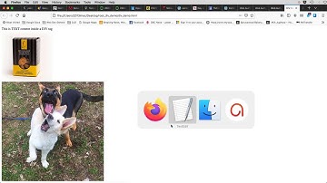 DIV tags & CSS Layout