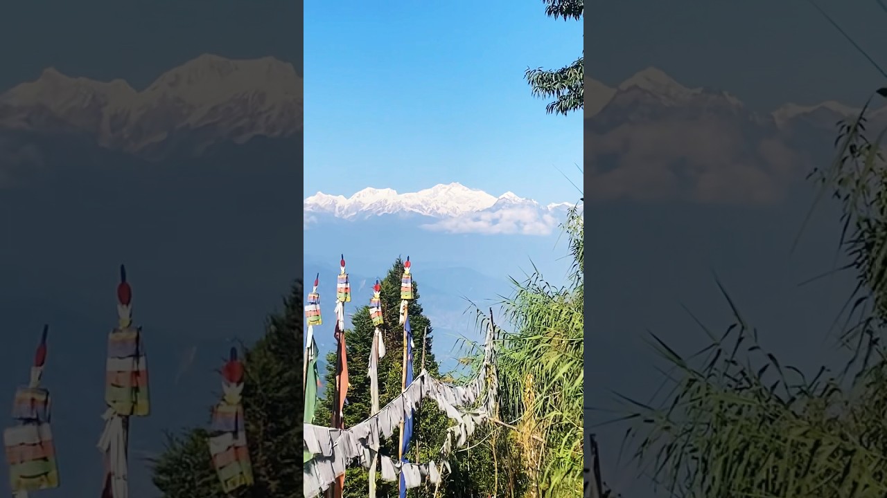 Best Kanchanjangha view homestay at Dawaipani | Dawaipani | Best Homestay | 8145990190