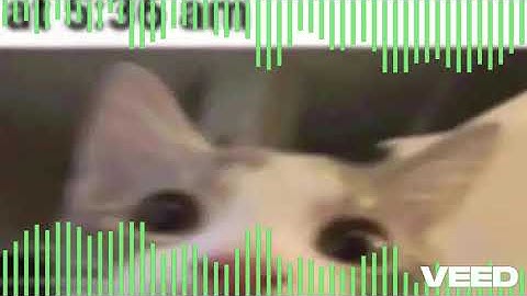 t+pazolite Cheatreal (TPZREMAKE Version) | AI Extension Remix