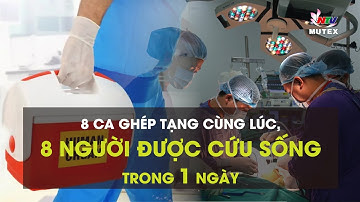 8 ca ghép tạng cùng lúc, 8 người được cứu sống trong một ngày