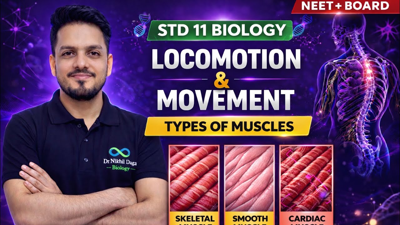 Locomotion and Movement | Types Of Muscles #neet #biology #ncert #class11