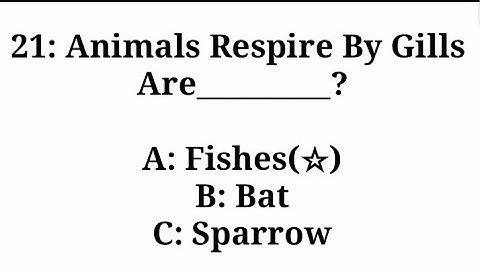 Class 4th to 8th General science MCQS taken from government books