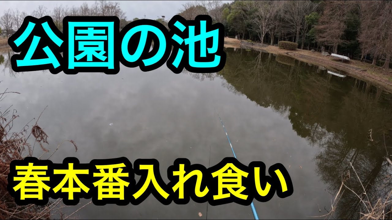 「桶川市城山公園」春本番の高活性に2025.3.15