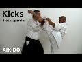 Aikido blocks/parries against different KICKS, by Stefan Stenudd