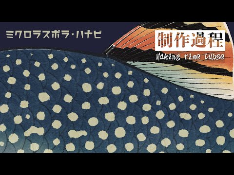 ミクロラスボラ・ハナビの浮世絵 Procreate drawing UKIYOE Microrasbora Galaxy