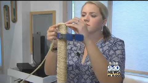 Projects You Pin DIY Cat Scratch Post