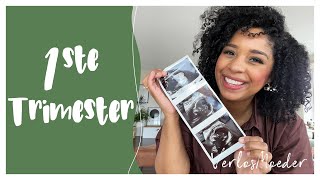 Zwanger van mijn 2e kind | 1e Trimester | Bump update | Gender Reveal | Mini Verloskundige |