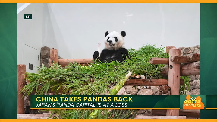 China Recalling Japan’s Cutest Stars
