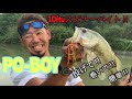 ついに発売！！10ftuのスピナーベイト”PO-BOY"野池でイヨケン早速 nice fish！！