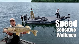 Catch More Walleyes With Speed Control Tactics