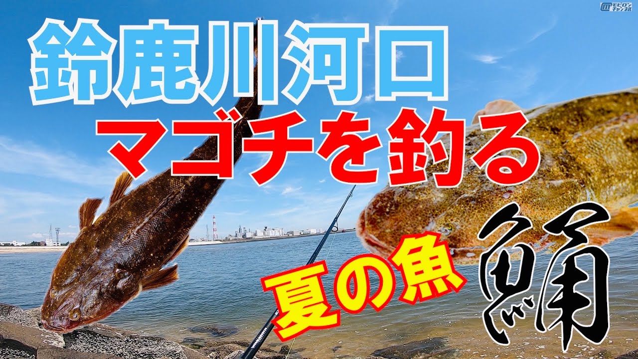夏の魚 今が旬 マゴチを釣る 鈴鹿川河口 三重県四日市市磯津で釣り Youtube
