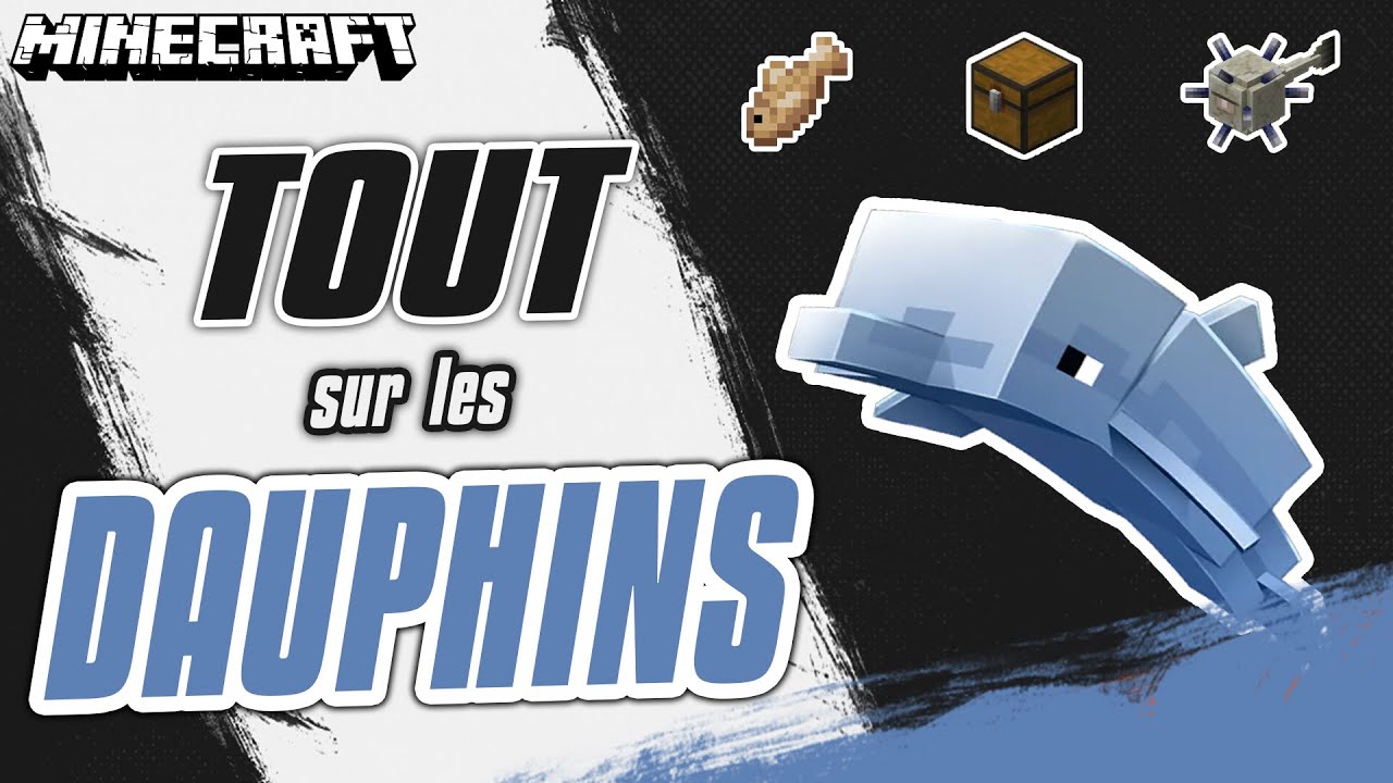 Tout sur les Dauphins - Minecraft - YouTube