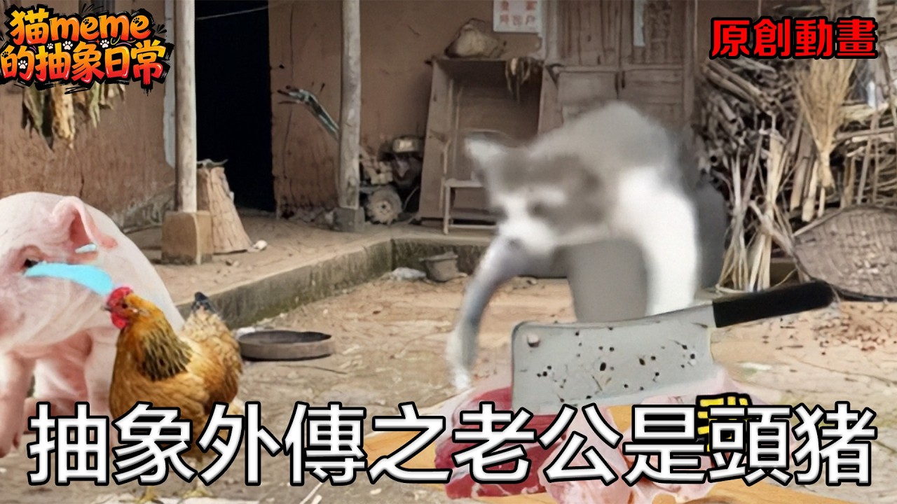 《石头可怜》1 10纯享版 #猫meme #超爆小故事 #搞笑 #抽象#猫meme的抽象日常