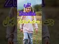Zunaira Name Meaning In Urdu Girlsname Names Famousname Shorts Youtubeshorts Babynames Zunaira Name Meaning In Urdu Girlsname Names Famousname Shorts Youtubeshorts Babynames