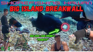 SHOREFISHING HAWAI'I: HILO BREAKWALL ✈️🎣😮 #fishing #fishinghawaii #fishingtechniques