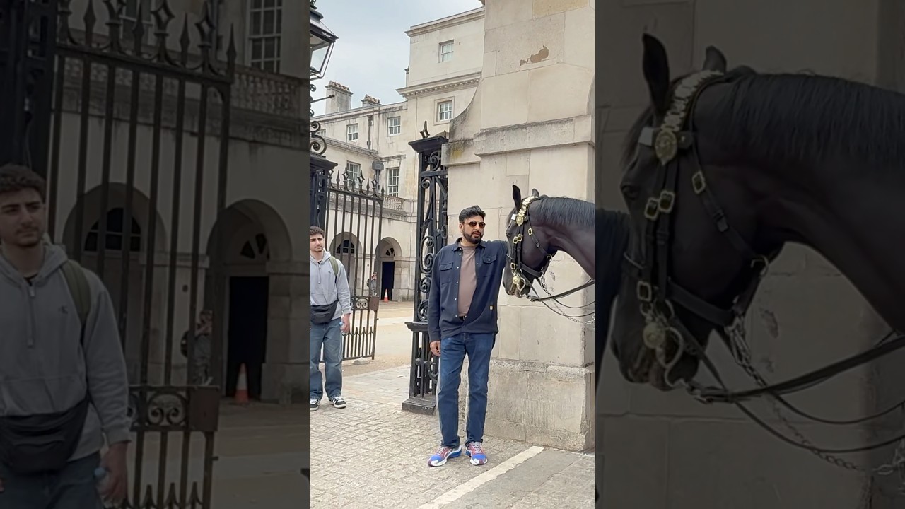 Do not touch the Horse 