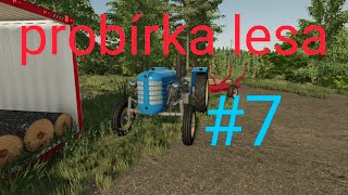 zetorama v lese probírka lesa #7