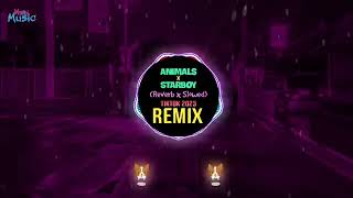 Animals x Starboy (Slowed To Perfection) DJ抖音版 Tiktok Remix 2023 || Hot Tiktok Douyin