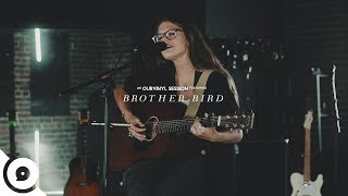 Brother Bird - Fog Horn | OurVinyl Sessions chords
