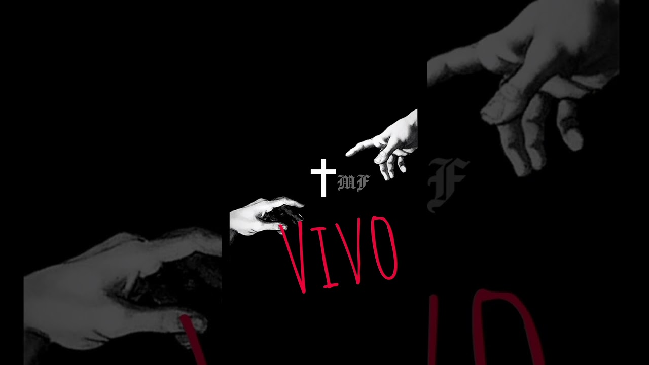 Matheus Fantin | Seus Passos 