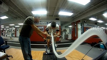 Vo2 Max Testing.wmv